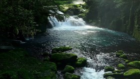 Spectacular Forest Creek Falls